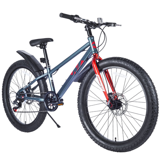 POVANLI 24 Inch Bicycles , Fat Tire Mountain Bike for 10 + Yr ,Dual-Disc Brake, 7-Speed ,Beach and Snow Bicycle, Grey (Gift)