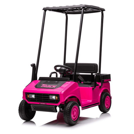 POVANLI 2 Seater 24V Kids Ride on Electric Car W/Parents Remote Control,Dual-Motor Drive,Slow Start,Removable Canopy,Rear Storage Box,LED Lights,MP3,USB,Bluetooth for Children Aged 3-5,Gift(Pink)