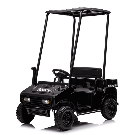 POVANLI 2 Seater 24V Kids Ride on Electric Car W/Parents Remote Control,Dual-Motor Drive,Slow Start,Removable Canopy,Rear Storage Box,LED Lights,MP3,USB,Bluetooth for Children Aged 3-5,Gift(Black)